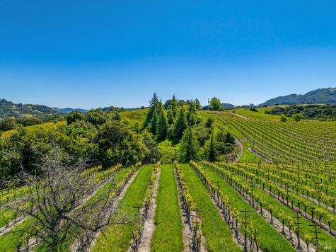 4560 Sonoma Mountain Road Santa Rosa CA 95404