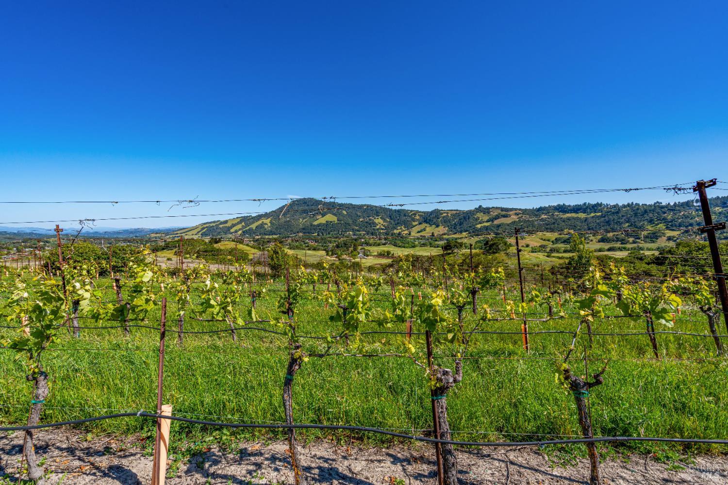 4560 Sonoma Mountain Road Santa Rosa CA 95404