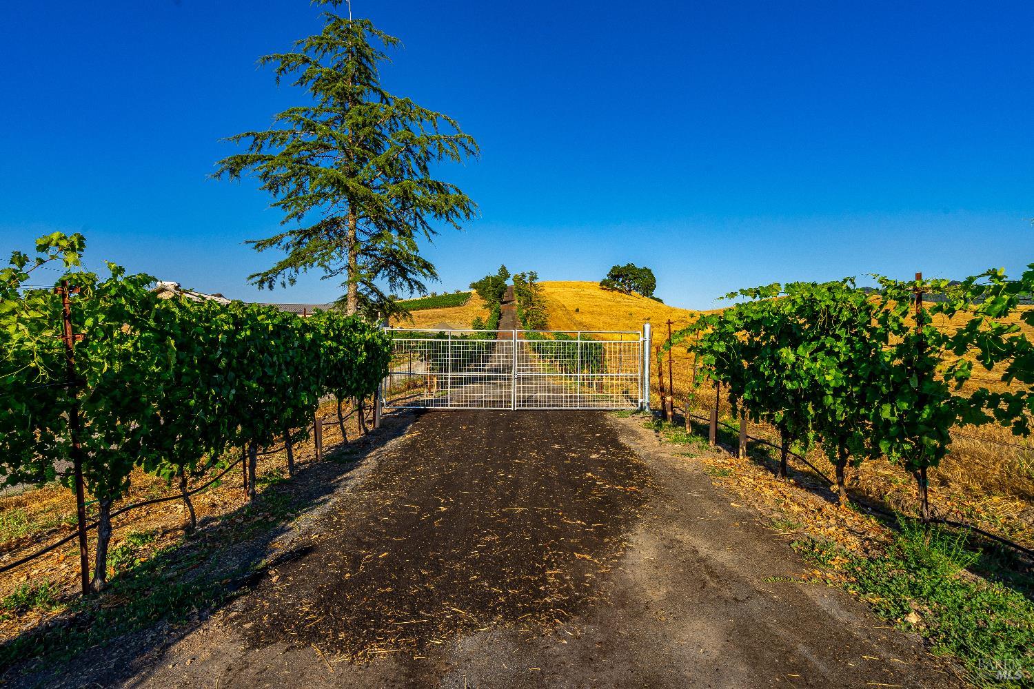 4560 Sonoma Mountain Road Santa Rosa CA 95404