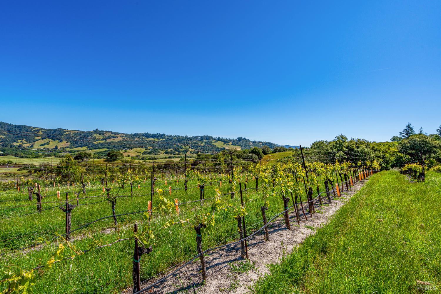 4560 Sonoma Mountain Road Santa Rosa CA 95404