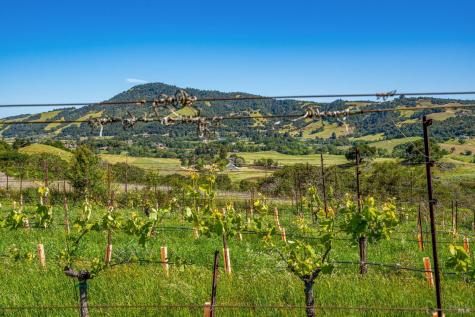 4560 Sonoma Mountain Road Santa Rosa CA 95404
