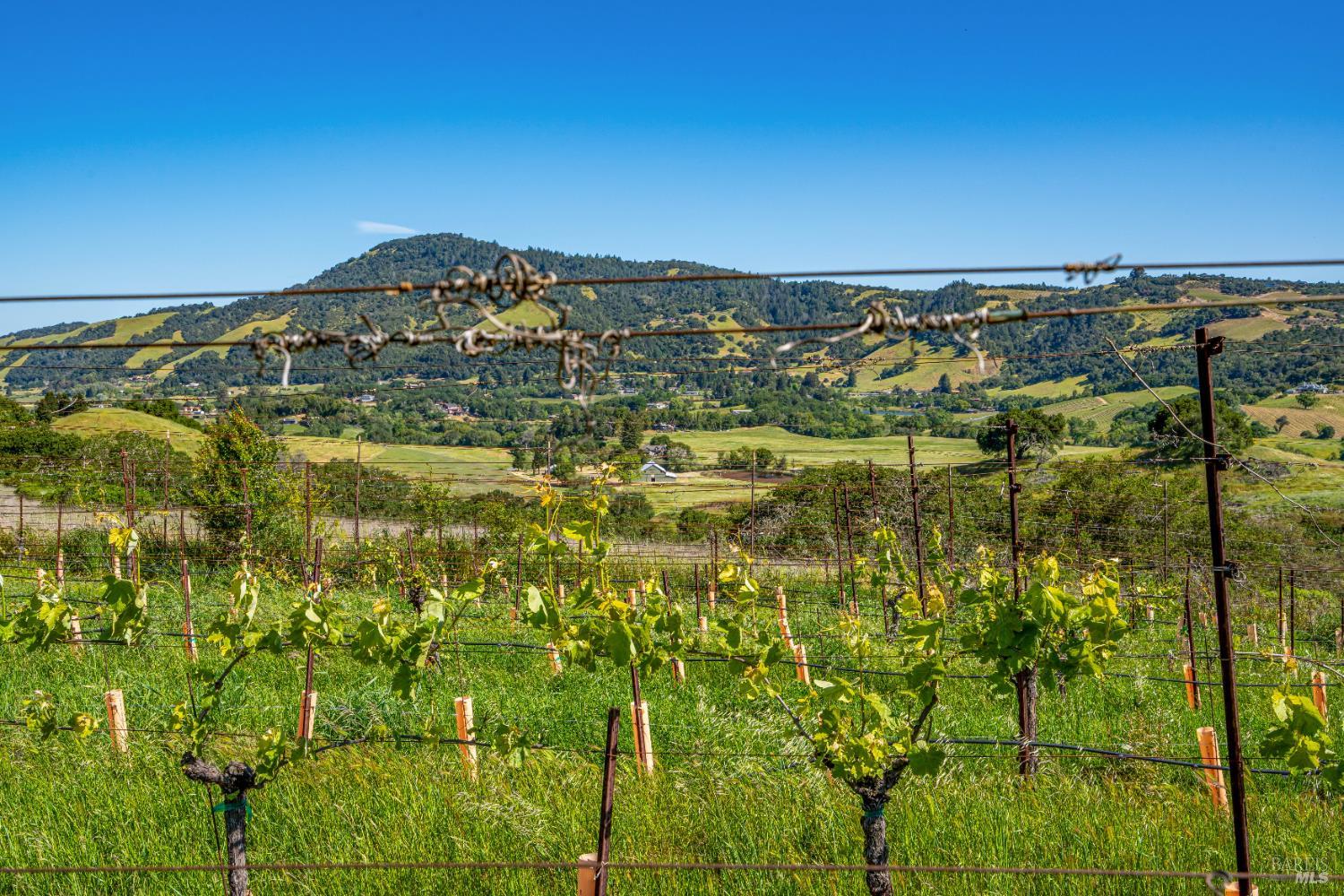 4560 Sonoma Mountain Road Santa Rosa CA 95404