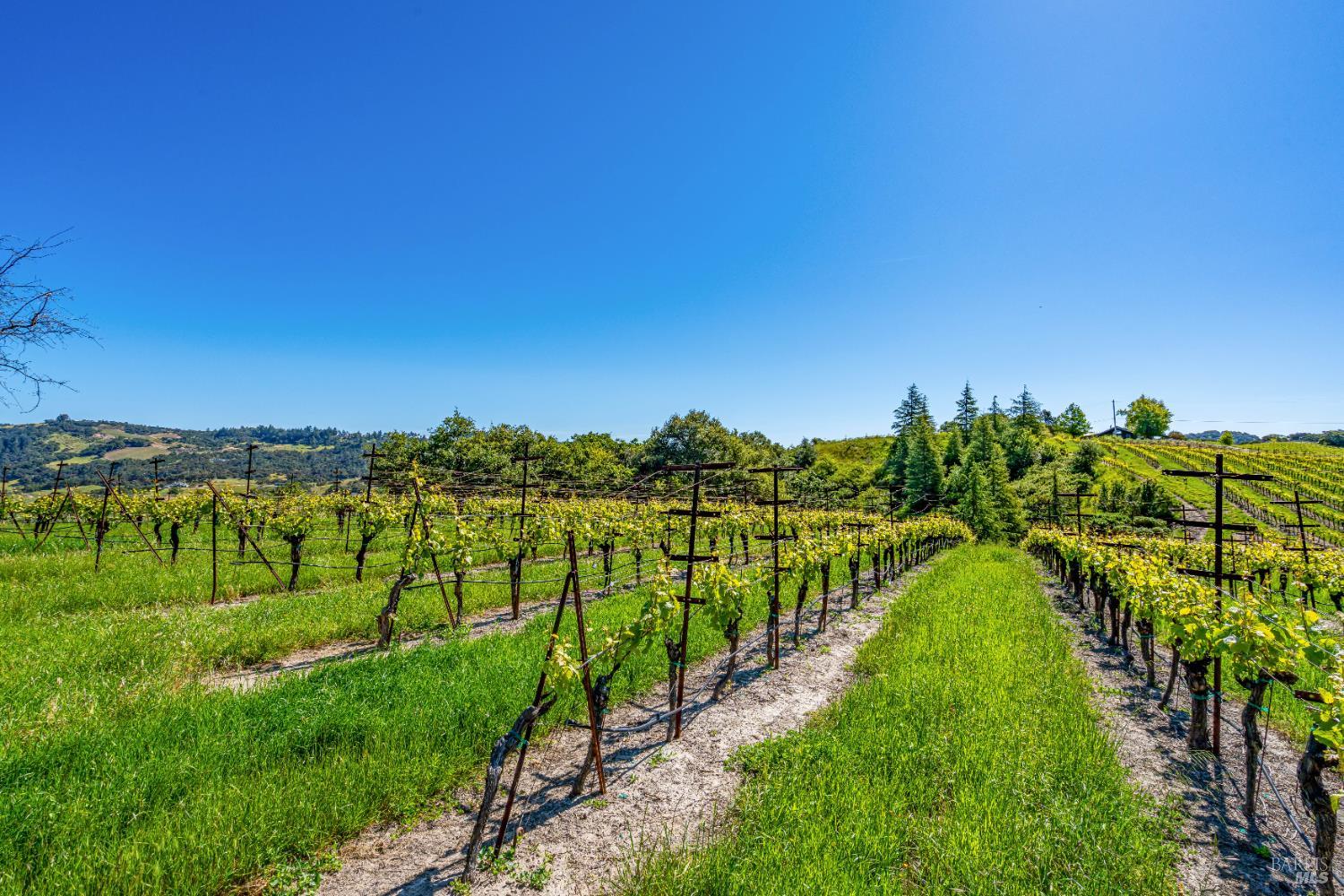 4560 Sonoma Mountain Road Santa Rosa CA 95404