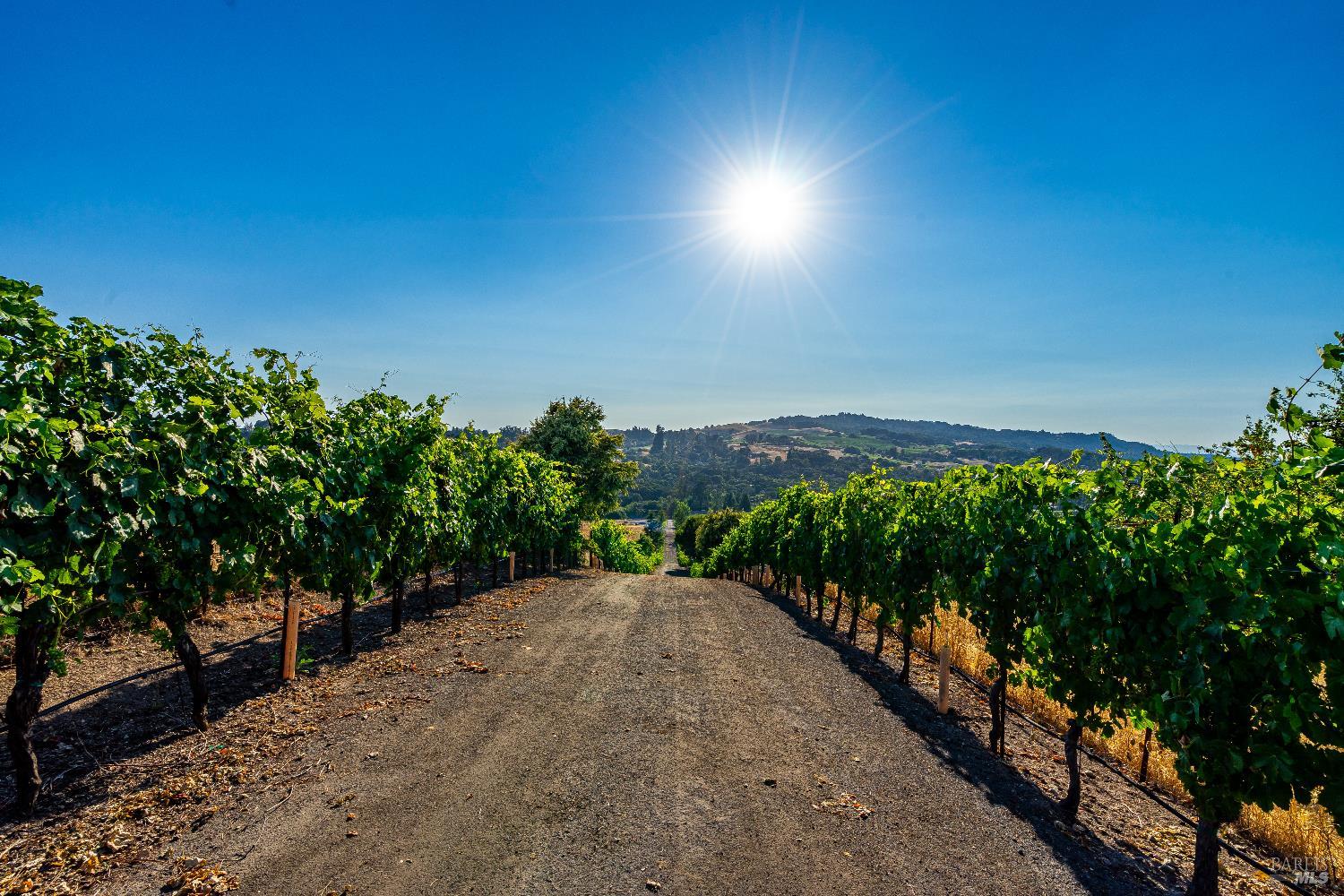 4560 Sonoma Mountain Road Santa Rosa CA 95404