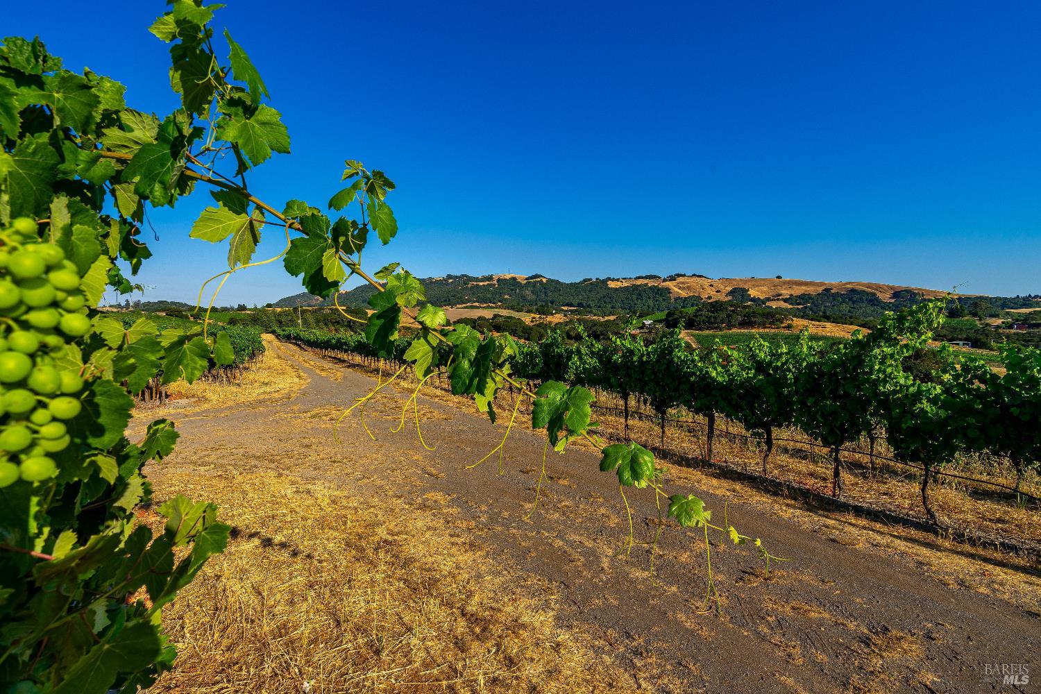 4560 Sonoma Mountain Road Santa Rosa CA 95404