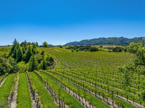 4560 Sonoma Mountain Road Santa Rosa CA 95404