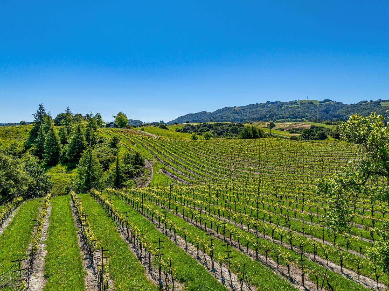 4560 Sonoma Mountain Road Santa Rosa CA 95404