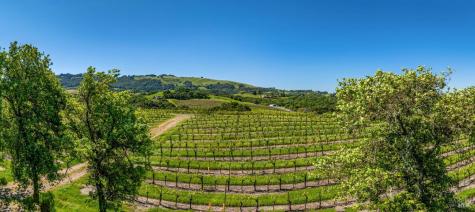 4560 Sonoma Mountain Road Santa Rosa CA 95404