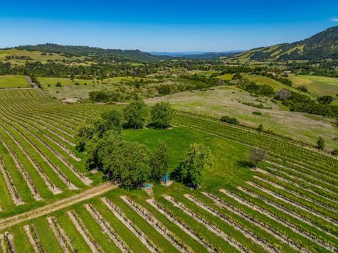 4560 Sonoma Mountain Road Santa Rosa CA 95404