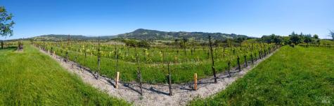 4560 Sonoma Mountain Road Santa Rosa CA 95404