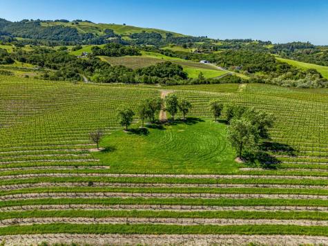 4560 Sonoma Mountain Road Santa Rosa CA 95404