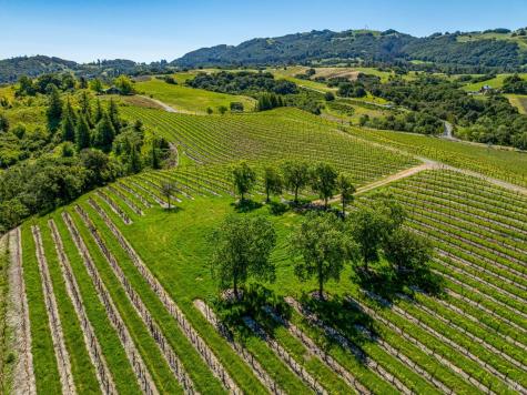 4560 Sonoma Mountain Road Santa Rosa CA 95404