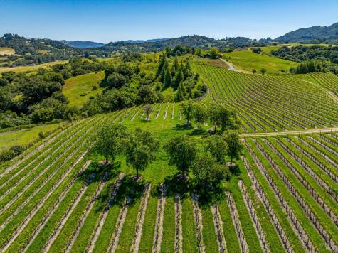 4560 Sonoma Mountain Road Santa Rosa CA 95404