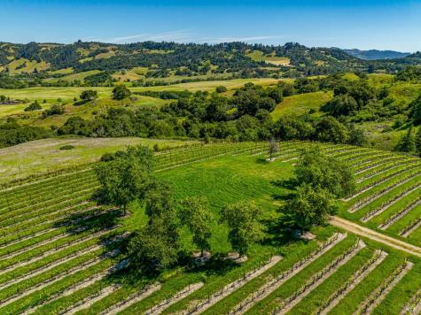 4560 Sonoma Mountain Road Santa Rosa CA 95404