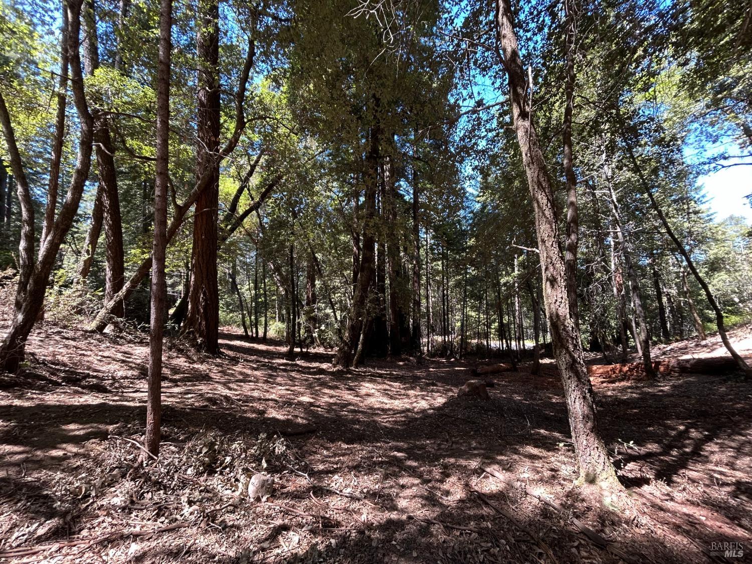 42851 Soda Springs Road Annapolis CA 95412