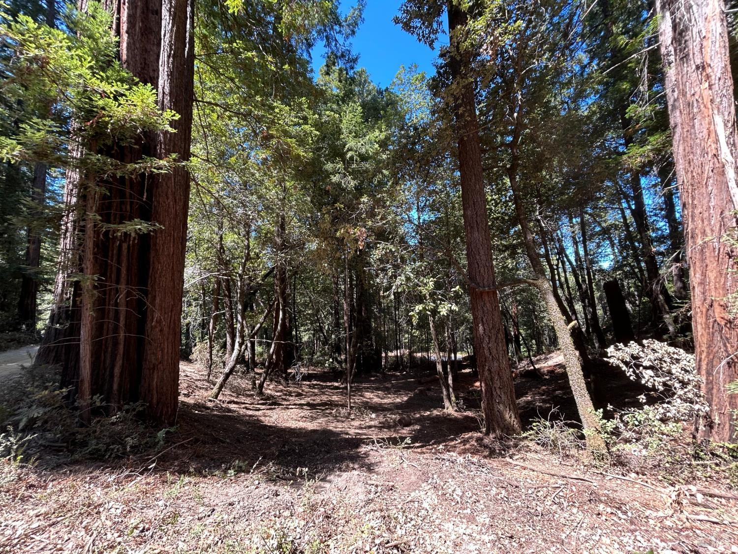 42851 Soda Springs Road Annapolis CA 95412