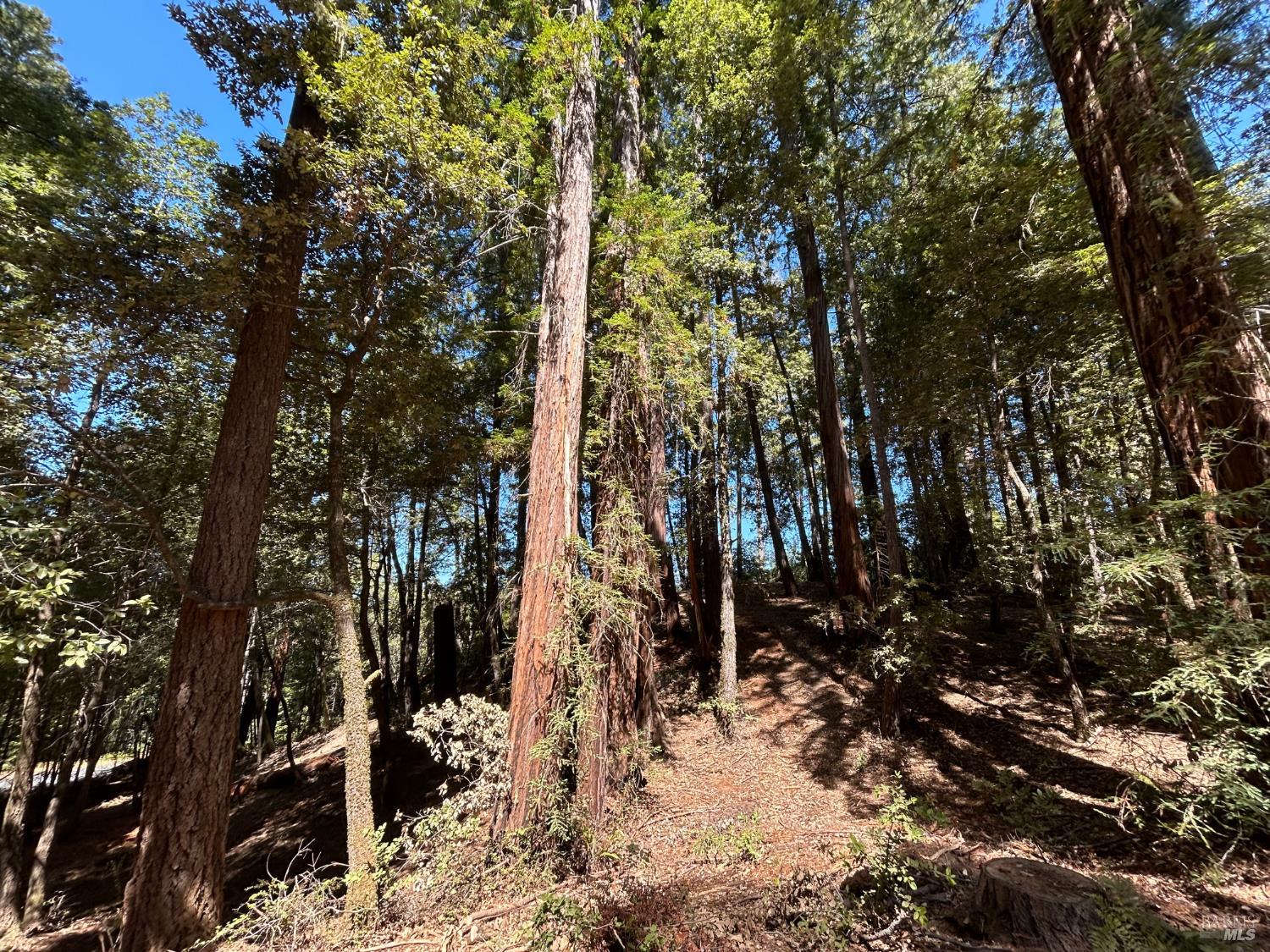 42851 Soda Springs Road Annapolis CA 95412