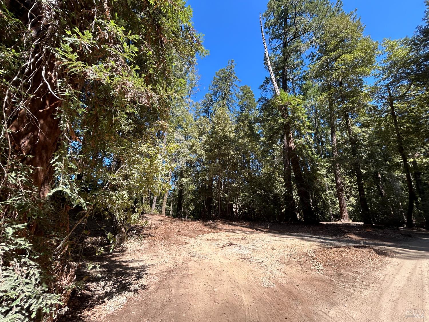 42851 Soda Springs Road Annapolis CA 95412