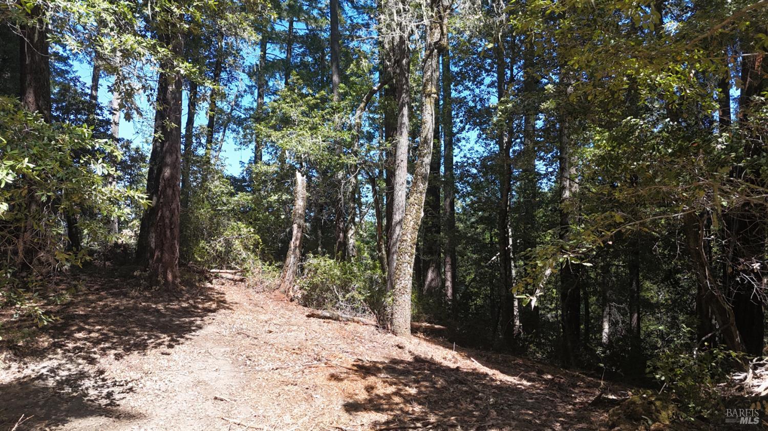 42851 Soda Springs Road Annapolis CA 95412