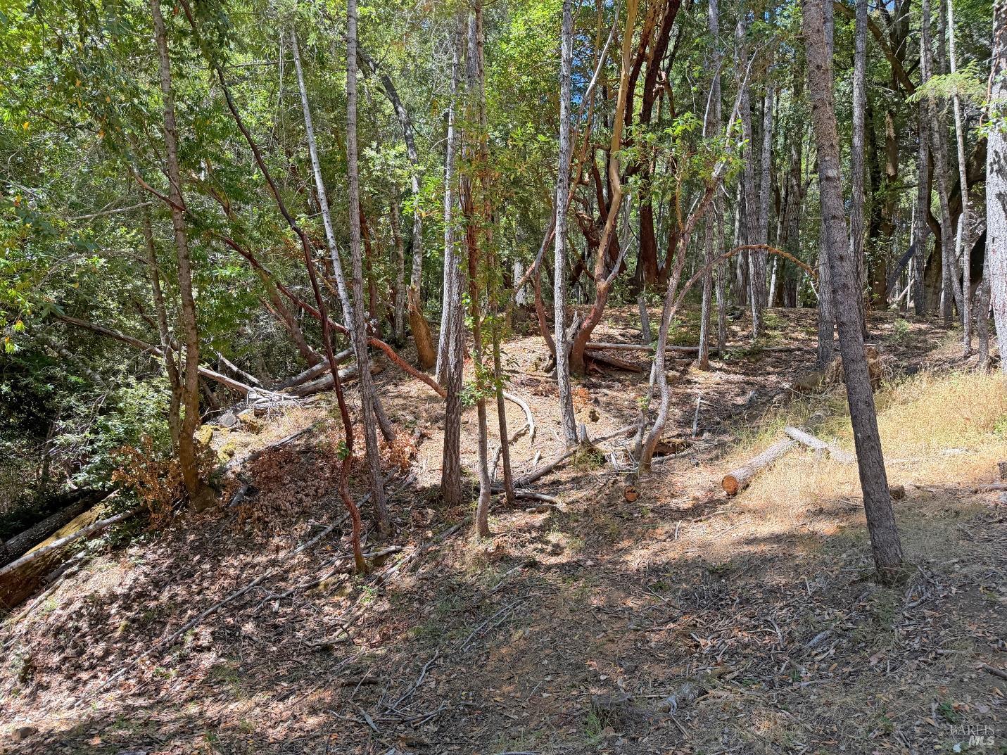 26006 Peacock Road Willits CA 95490