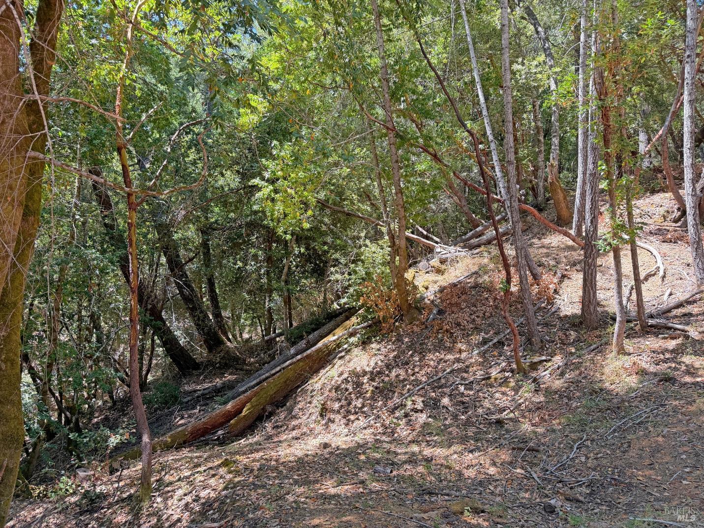 26006 Peacock Road Willits CA 95490