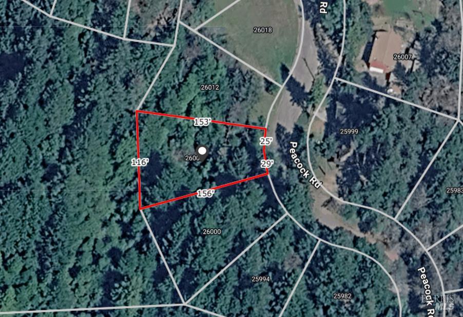 26006 Peacock Road Willits CA 95490