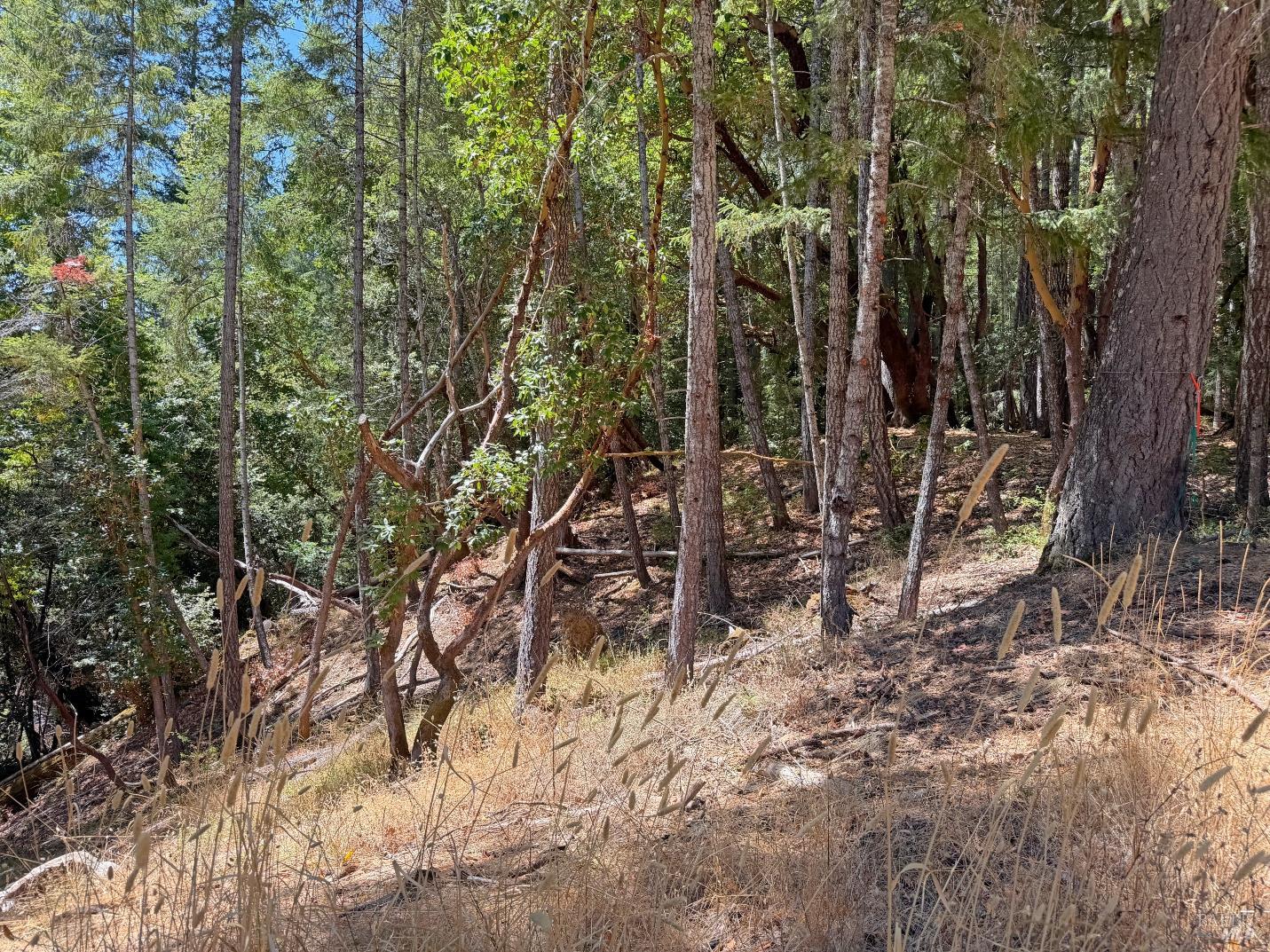 26006 Peacock Road Willits CA 95490