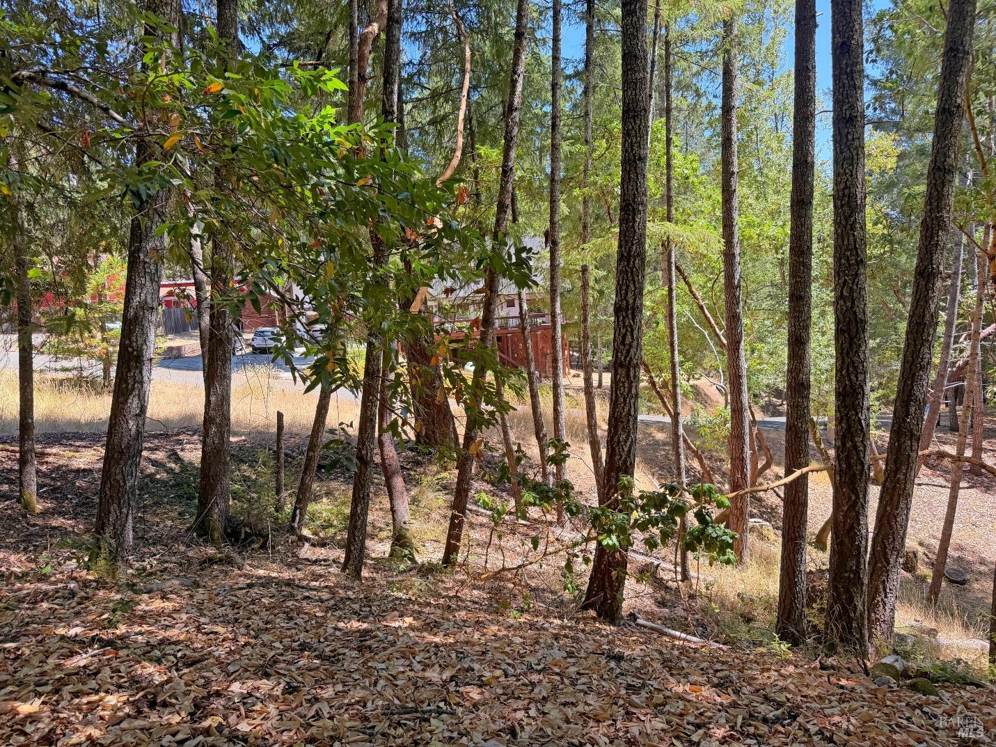 26006 Peacock Road Willits CA 95490