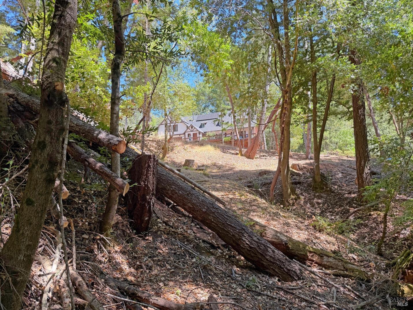 26006 Peacock Road Willits CA 95490