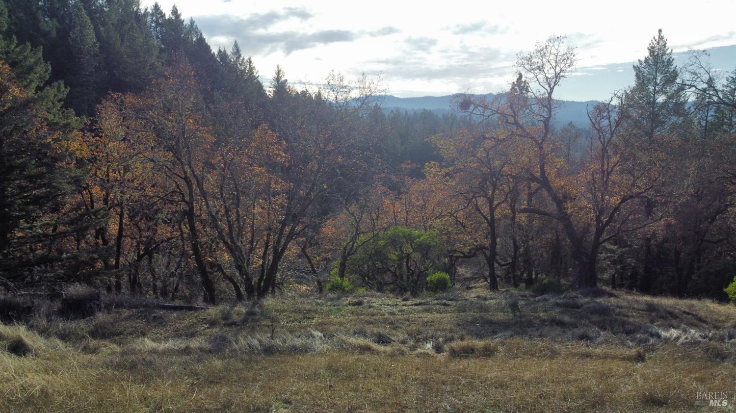 22721 Eastside Road Willits CA 95490