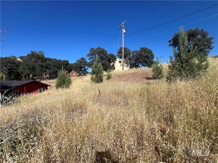 2995 Oak Crest Drive Clearlake CA 95422