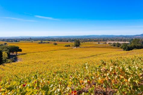 1276 Jensen Lane Windsor CA 95492