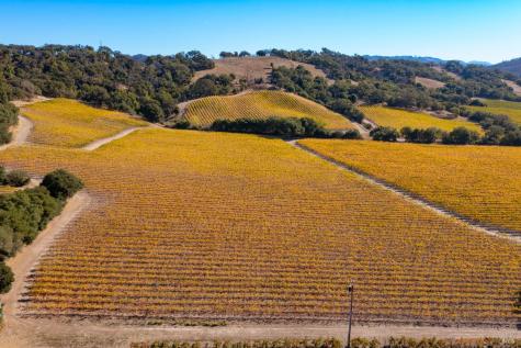 1276 Jensen Lane Windsor CA 95492