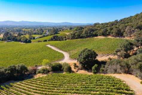 1276 Jensen Lane Windsor CA 95492