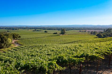 1276 Jensen Lane Windsor CA 95492