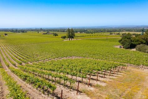 1276 Jensen Lane Windsor CA 95492