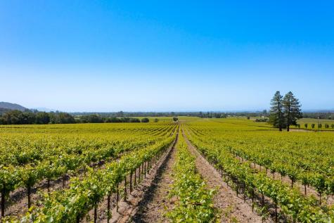 1276 Jensen Lane Windsor CA 95492