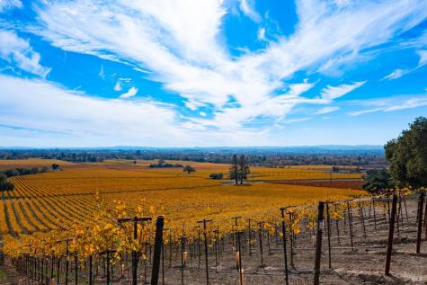 1276 Jensen Lane Windsor CA 95492