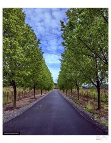 1276 Jensen Lane Windsor CA 95492