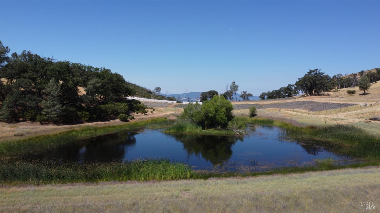 Lower Lake CA 95457