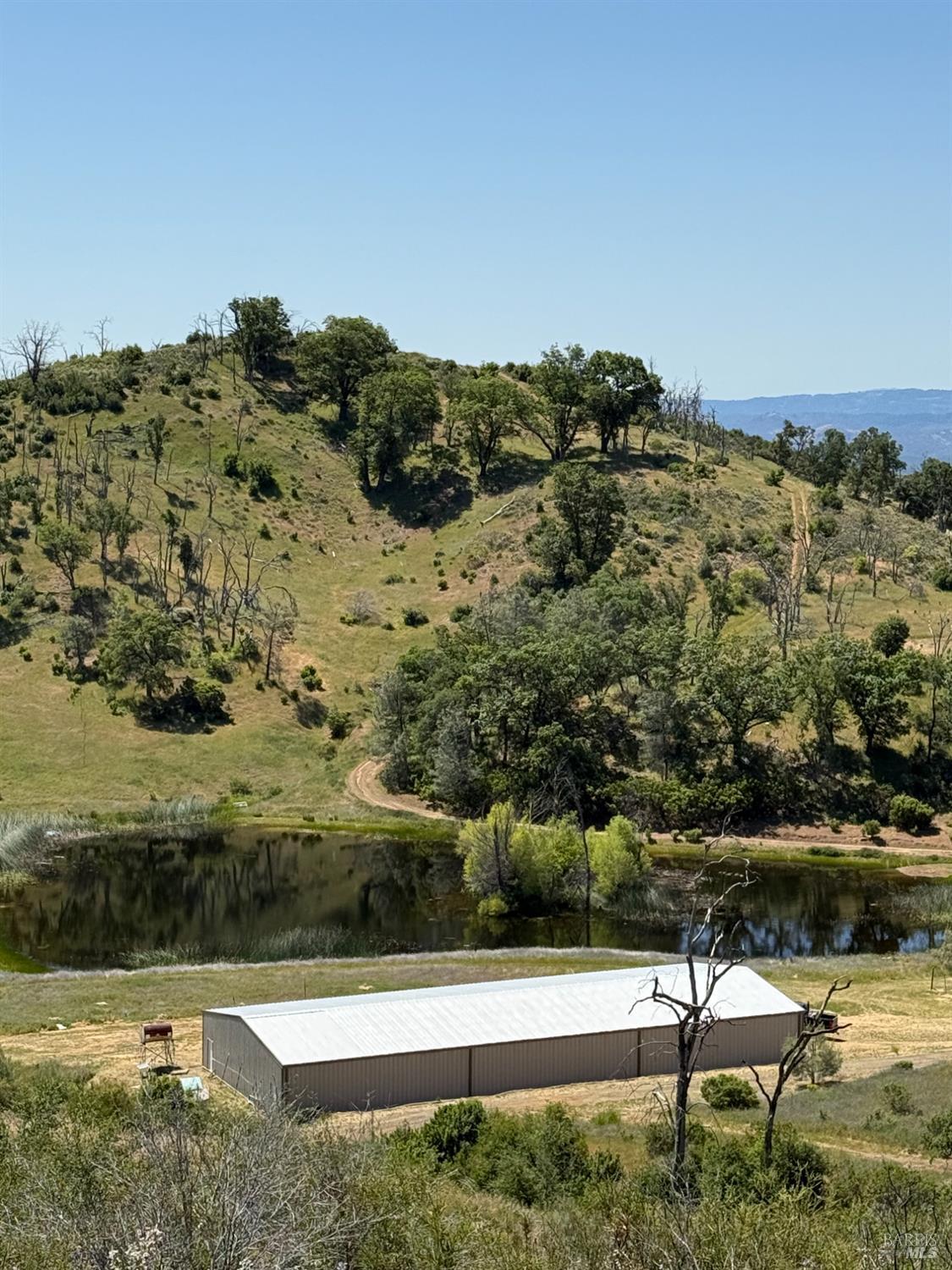 Lower Lake CA 95457