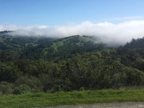 7781 Mill Creek Road Healdsburg CA 95448