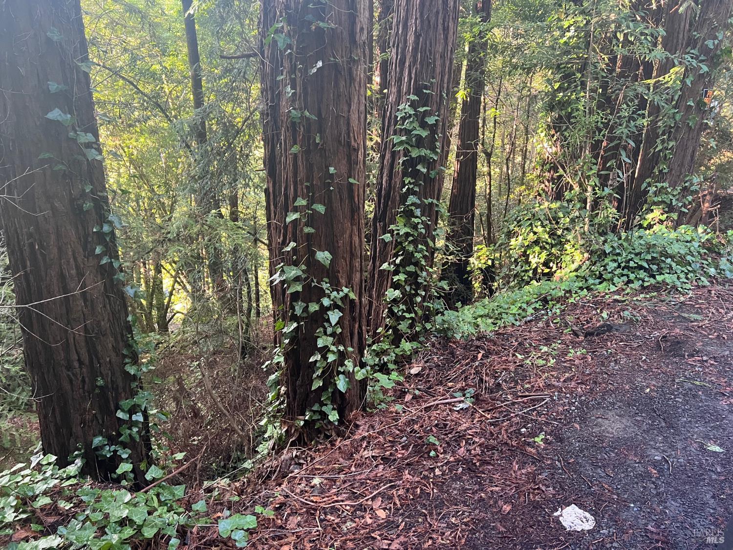 21866 Monte Vista Terrace Monte Rio CA 95462