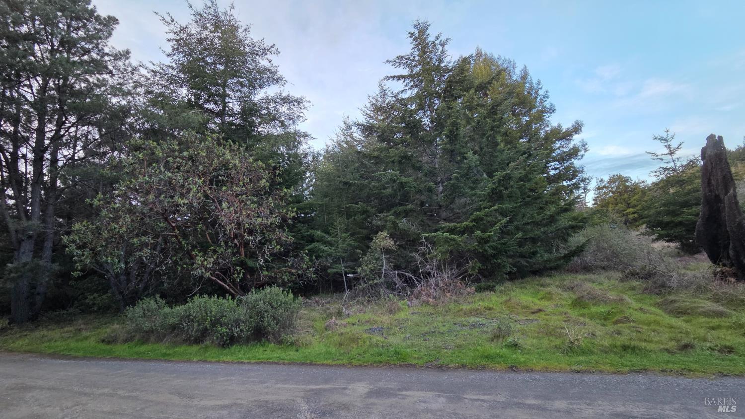 0 Iversen Drive Gualala CA 95445