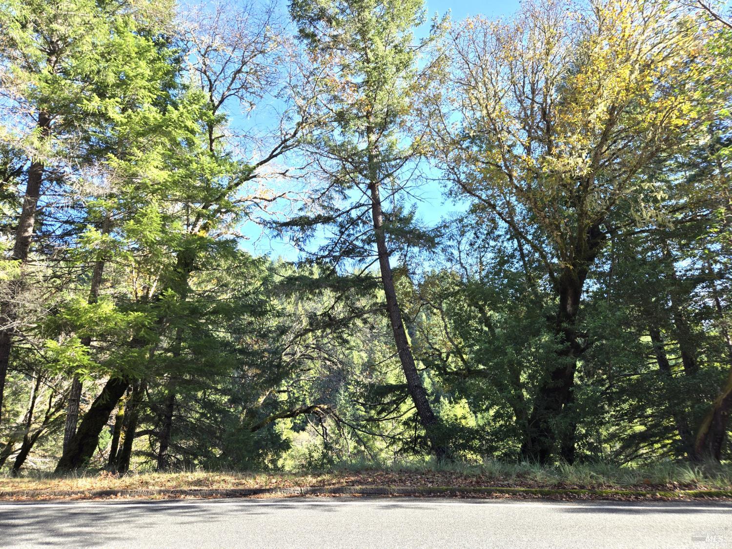 2713 Primrose Drive Willits CA 95490