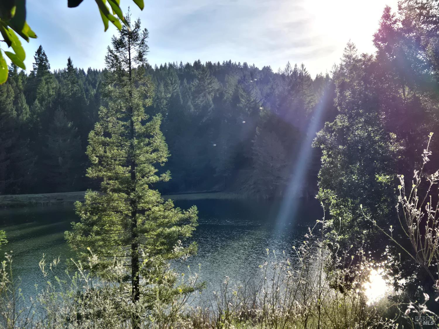 2713 Primrose Drive Willits CA 95490