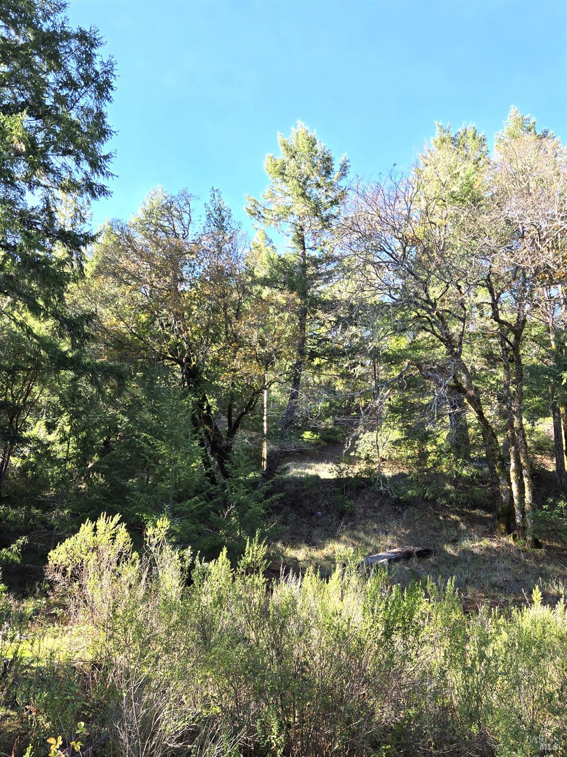 2713 Primrose Drive Willits CA 95490