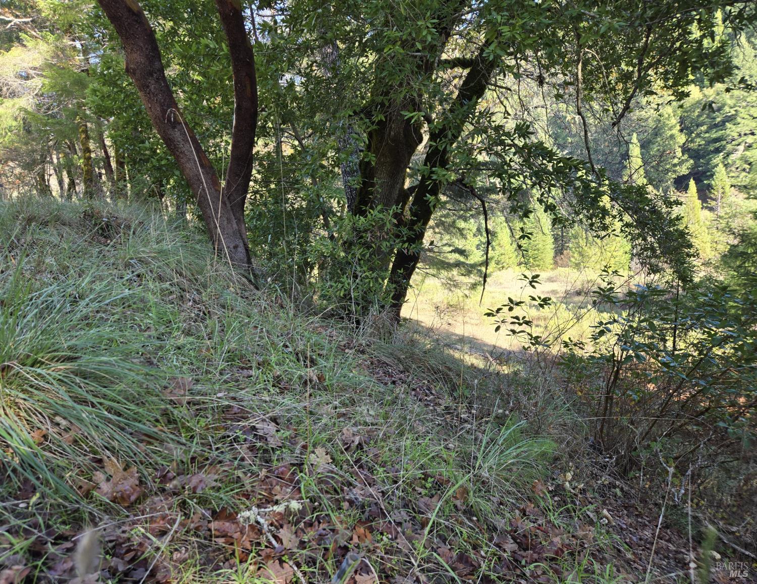 2713 Primrose Drive Willits CA 95490