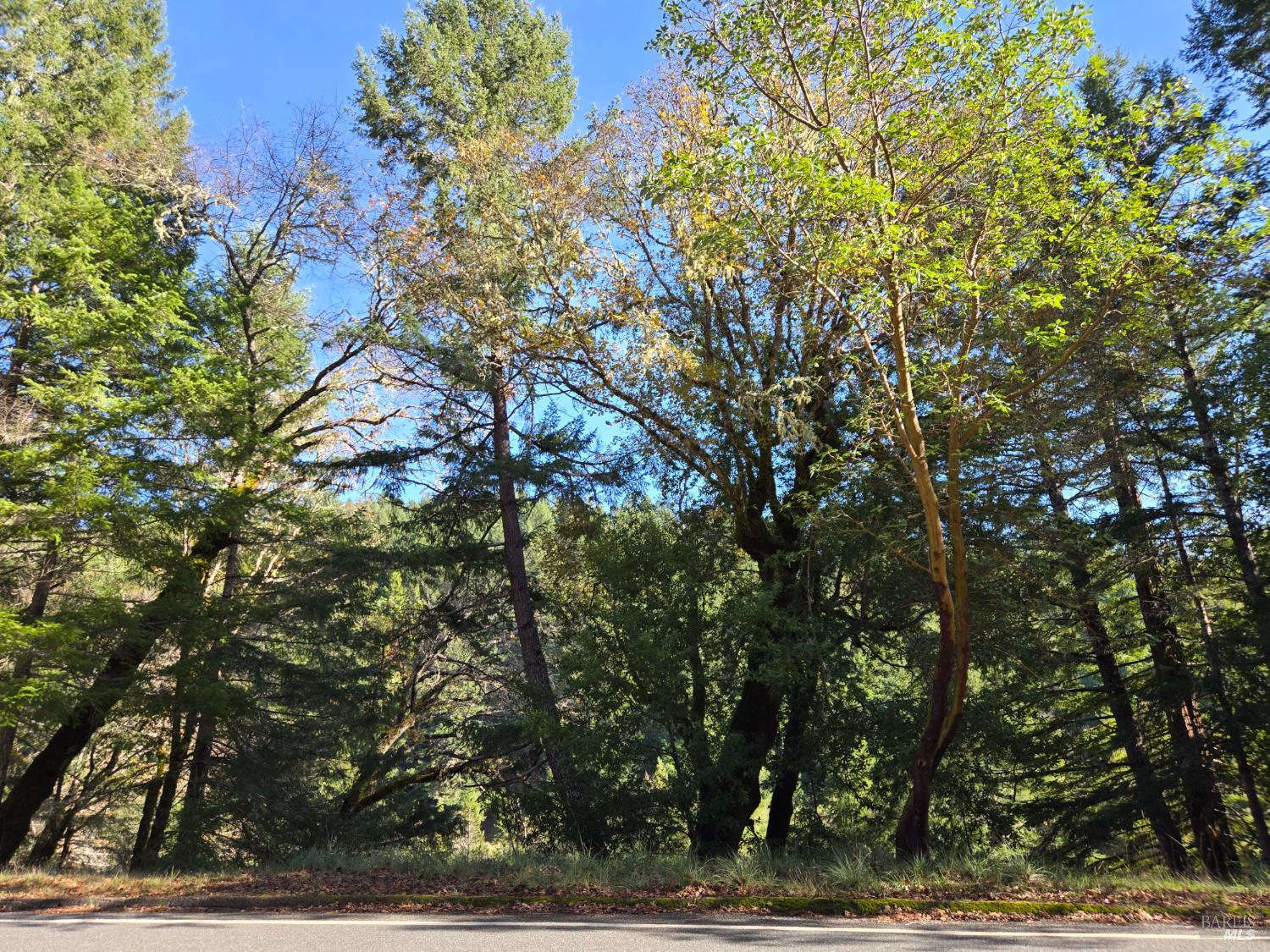 2713 Primrose Drive Willits CA 95490