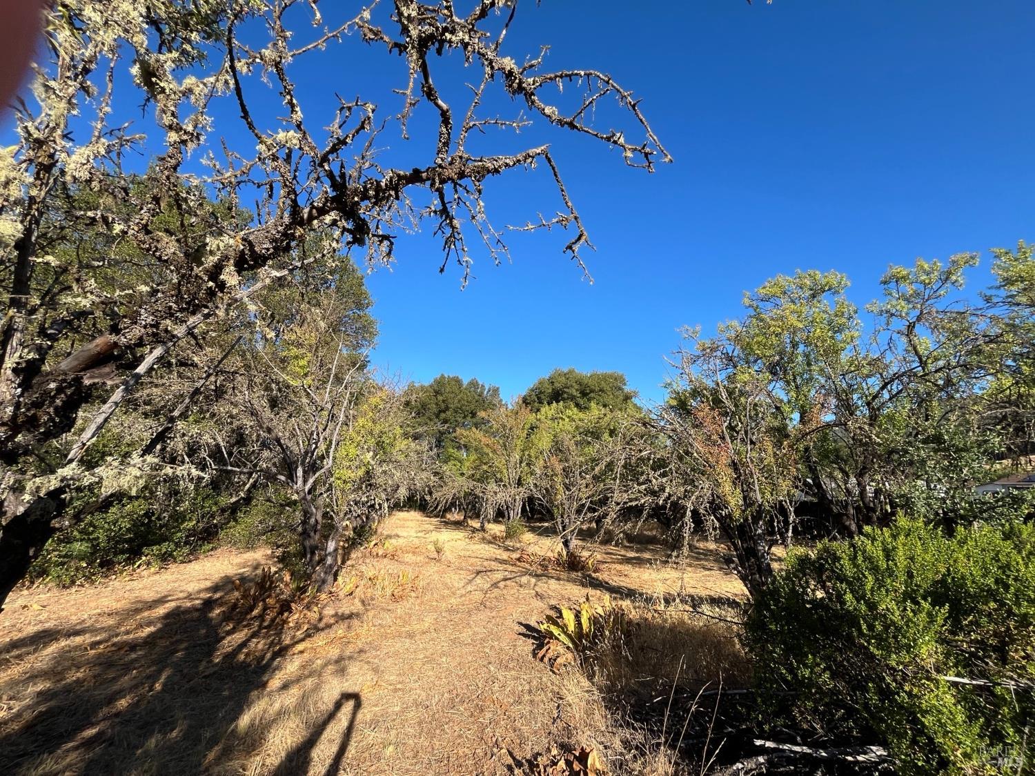 75 Morine Ranch Road Clearlake Oaks CA 95423